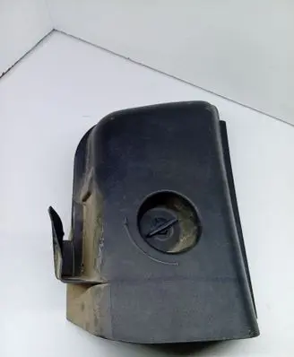 Rear/tail light trim molding