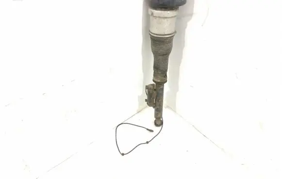 Mercedes-Benz S W221 Rear shock absorber/damper 2213202113 2213205513