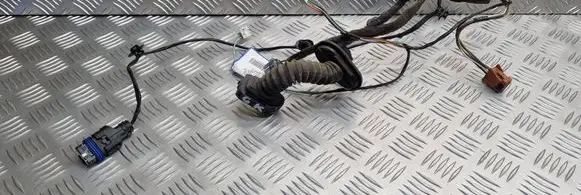 Renault Espace IV Rear door wiring loom 8200103501