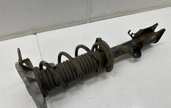 Jeep Compass Rear shock absorber/damper 00533770540