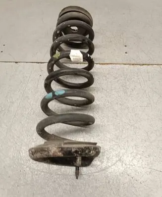 Rear coil spring