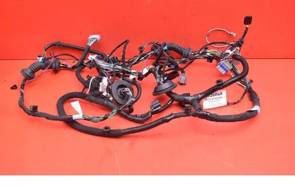 Other wiring loom