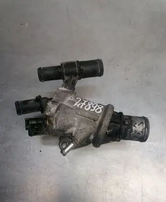 Thermostat/thermostat housing