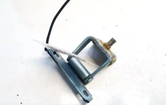 Tailgate/trunk/boot hinge