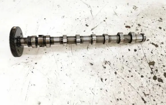 Hyundai Santa Fe Camshaft 241102F600 60090203 243102T600