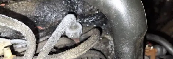 Seat Alhambra (Mk1) Fuel injector 