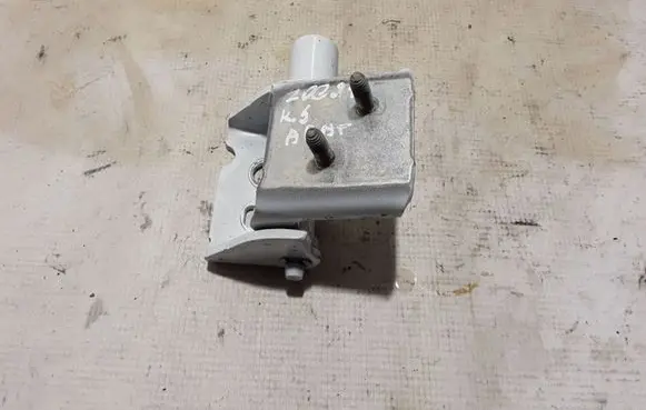 Renault Zoe Rear door lower hinge 824214963R