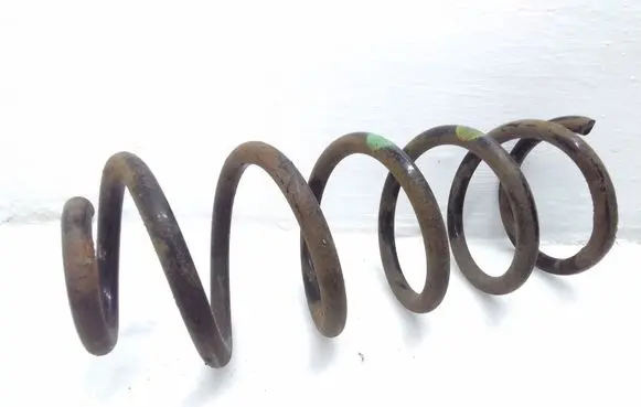 Rear coil spring