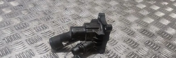 Thermostat/thermostat housing