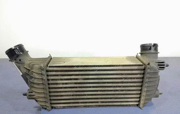 Peugeot Expert Intercooler radiator 1440094280