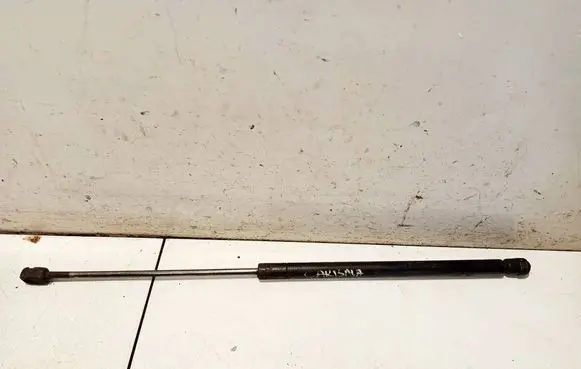 Tailgate/trunk strut/damper