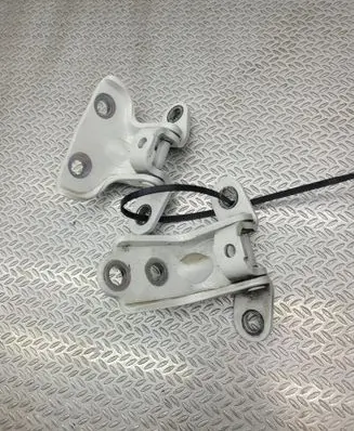 KIA Niro Rear door hinge set 