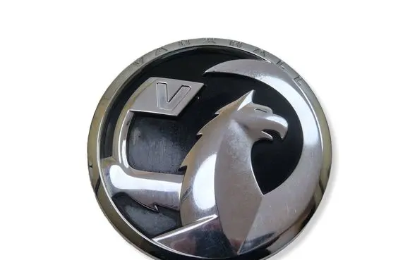 Opel Insignia B Loading door exterior handle 