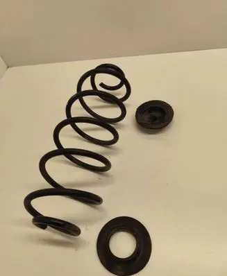 Rear coil spring