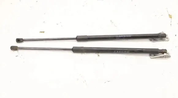 Tailgate strut