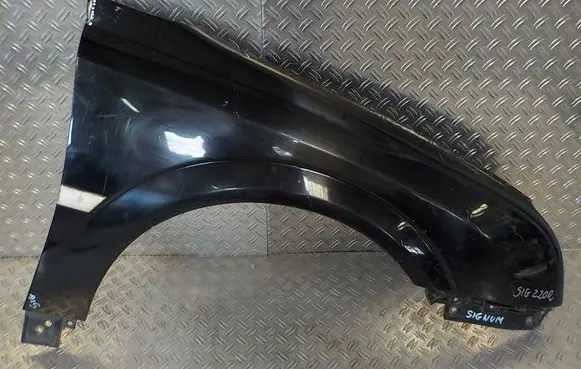 Opel Signum Fender