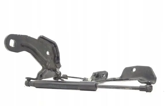 BMW Z4 E89 Tailgate/trunk/boot hinge