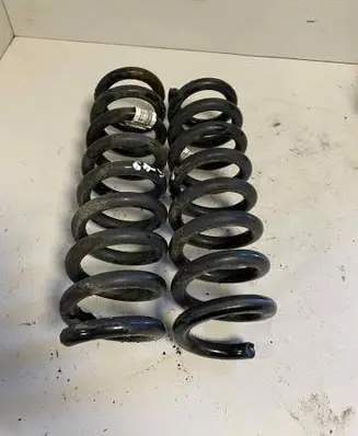 Rear coil spring