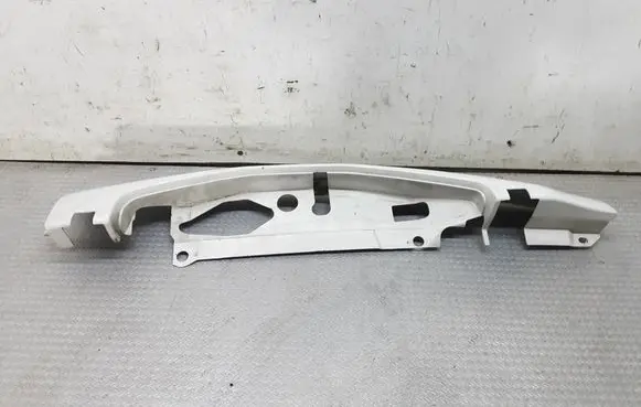 Rear/tail light trim molding