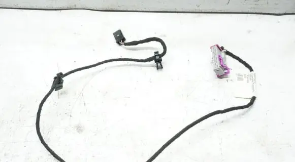 Volkswagen Golf V Front door wiring loom 1K0971558