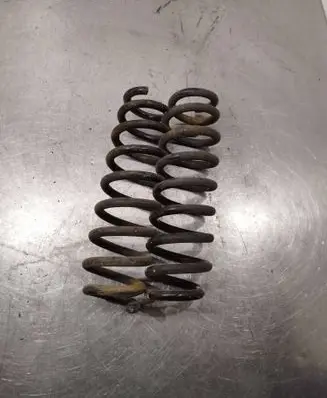 Rear coil spring
