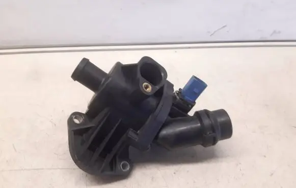 Thermostat/thermostat housing
