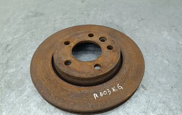 Volkswagen Transporter - Caravelle T5 Rear brake disc
