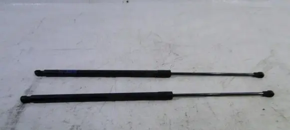 Tailgate strut