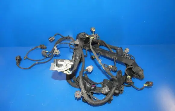 KIA Optima Other wiring loom
