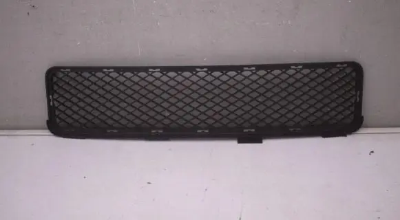 Hyundai Tucson JM Front bumper lower grill Dbjrsvkhwyjf