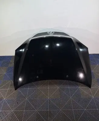 Lexus RX 330 - 350 - 400H Engine bonnet/hood 