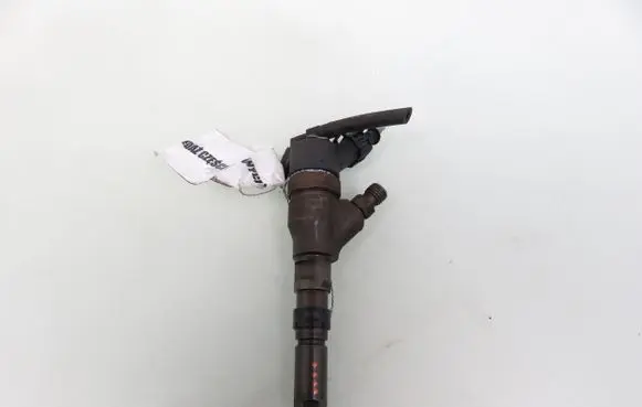 Citroen Xsara Picasso Fuel injector 0445110076 9641742880