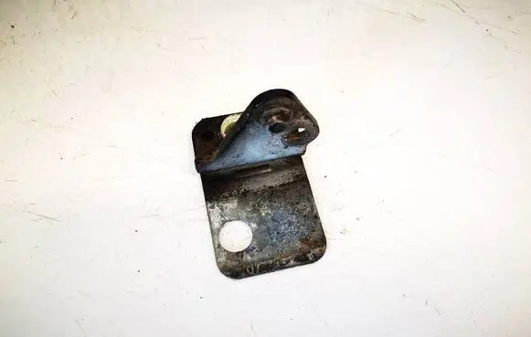 Volkswagen PASSAT B6 Rear door lower hinge