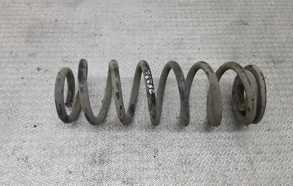Rear coil spring