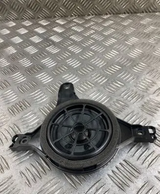 Front door speaker