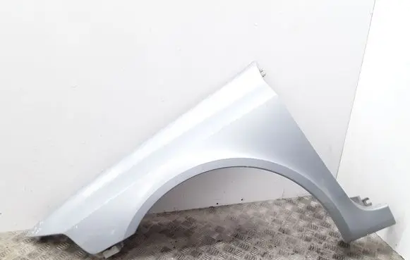 Renault Laguna II Fender