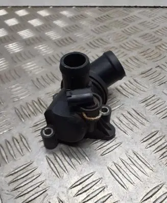 Thermostat/thermostat housing