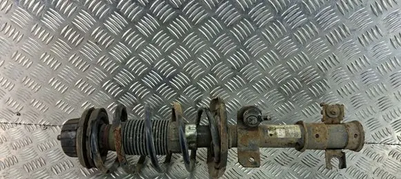Fiat Bravo Front shock absorber with coil spring 50708892