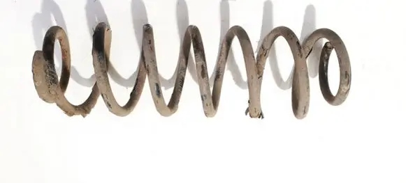 Volkswagen Polo IV 9N3 Rear coil spring