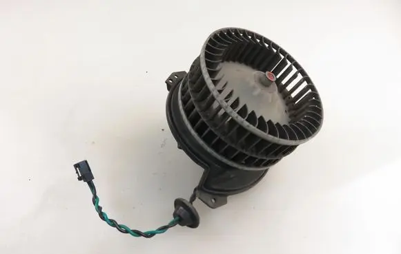 Chrysler Voyager Heater fan/blower 1661000346