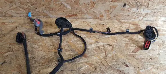 Rear door wiring loom