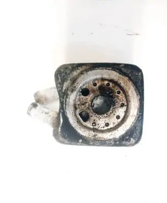 Volkswagen Golf IV Engine oil radiator 