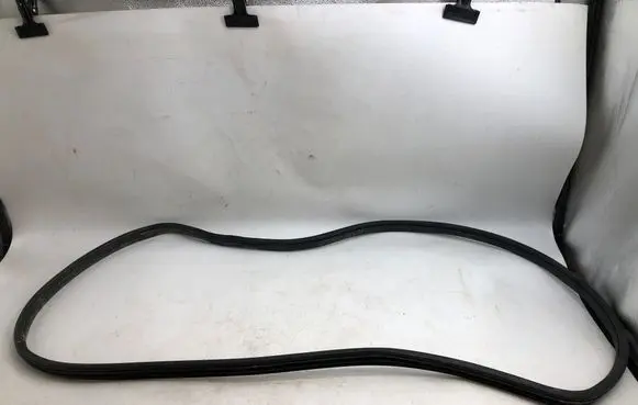 Hyundai Kona II Rubber seal front door (on door) 