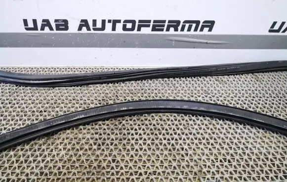 Audi Q2 - Front door rubber seal 81A831721B