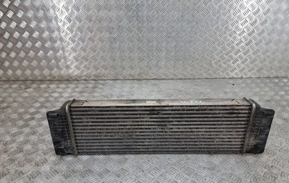 Volkswagen Crafter Intercooler radiator A9065010201 2e0145804a