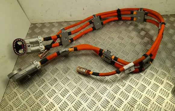 Mercedes-Benz EQE v295 Other wiring loom A2955407106