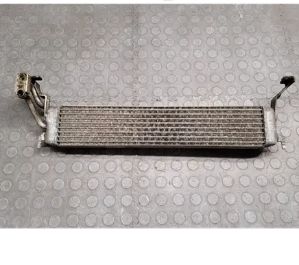BMW X5 E53 Engine oil radiator 7542788