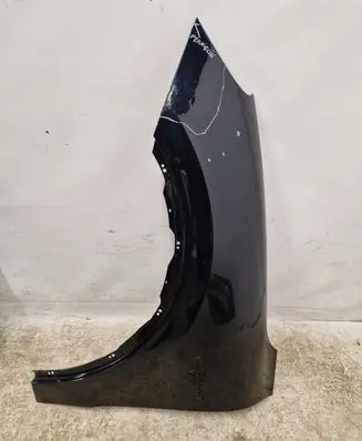 Porsche Cayenne (9Y0 9Y3) Fender