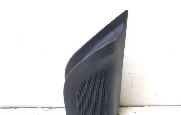 Front door speaker