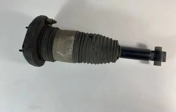BMW 6 G32 Gran Turismo Shock absorber/damper/air suspension 13981113 75687296703